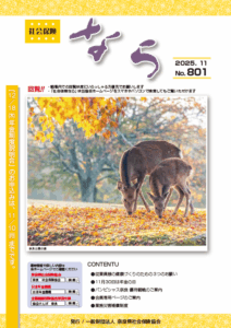 社会保険なら2025年11月